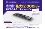 ソリダイム、対象製品を購入したユーザーに最大1万2000円分の「Visa eギフト」をプレゼントするキャンペーンを実施