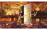 温泉街で色鮮やかな紅葉を満喫！　北海道上川町層雲峡温泉「奇跡のイルミネートV」を開催