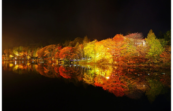ライトアップされた夜の紅葉が楽しめる！　「2022 茶臼山高原 紅葉ライトアップ」10月8日〜11月6日開催