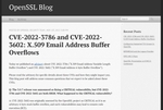 OpenSSLの重大な脆弱性を発見　 脆弱性対策のSnykがブログ公開