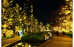 色とりどりの光が輝くイルミネーションがクリスマスを盛り上げる！　「MIDTOWN CHRISTMAS 2022」11月17日〜12月25日開催