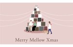 ロスフラワーを使用したクリスマスツリーを展示！　MARINE & WALK YOKOHAMAでクリスマスイベント「Merry Mellow Xmas」を実施