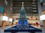 オフィス街に巨大ツリーが出現！　新宿NSビル、クリスマスツリーを12月25日まで展示中
