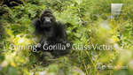 コーニング、さらなる「タフさ」を極めた「Corning Gorilla Glass Victus 2」