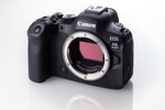 キヤノン「EOS R6 MarkⅡ」実機レビュー = コスパ最高の高性能自動AFカメラだ!