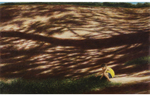 「アートでめぐる横浜18区」港北区編　現実の中の幻想的な一瞬、光と影を描く作家の代表作ー山本貞《地の光景》
