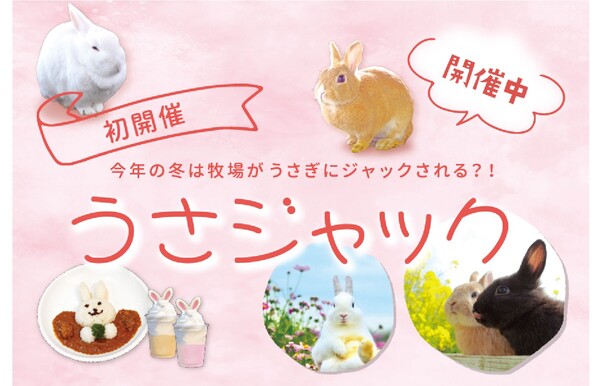 牧場全体がうさぎだらけに！ 成田ゆめ牧場で「うさジャック」を開催中