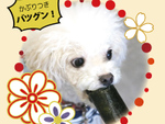 愛犬用「節分恵方巻」が登場！　ペットOK焼肉店「うしすけ」にて2月3日まで期間限定販売