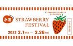 「湘南いちご」をはじめ、旬の希少な苺を用意！　水信各店で「水信ストロベリーフェスティバル」を開催