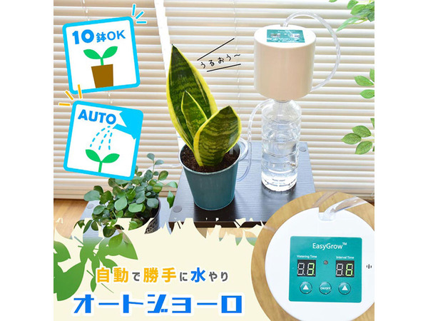 水のやり忘れとはオサラバ 自動水やり機 - 植物/観葉植物