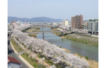 “桜の都”福井市で昼も夜もうっとり必至の幸せな時間を満喫♪