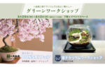 「盆栽」と「苔テラリウム」を楽しもう！　小田急百貨店新宿店で「グリーンワークショップ」を開催