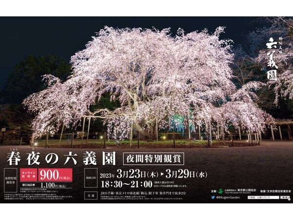 園内のしだれ桜を中心にライトアップ　「春夜の六義園 夜間特別観賞」3月23日～3月29日開催