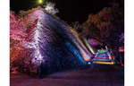 延岡城跡の夜桜と石垣が織りなす幻想的なライトアップ！　「ワイワイ花宵物語」3月18日～4月9日開催