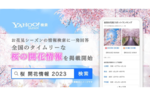 Yahoo!検索、桜の開花情報やお花見スポットランキングを確認できる機能を追加