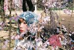 キヤノンのフィルムカメラで撮る、春の桜とウェアラブルロボット