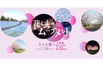 東京都舎人公園にて園内がピンクとブルーに輝く「花と光のムーブメント」開催中　4月23日まで