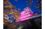 約1000本の桜の幻想的な美しさを楽しめる！　「鶴ヶ城公園ライトアップ」を実施中