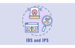 IDSやIPSなどの主なネットワークセキュリティソリューションとネットワークの守り方