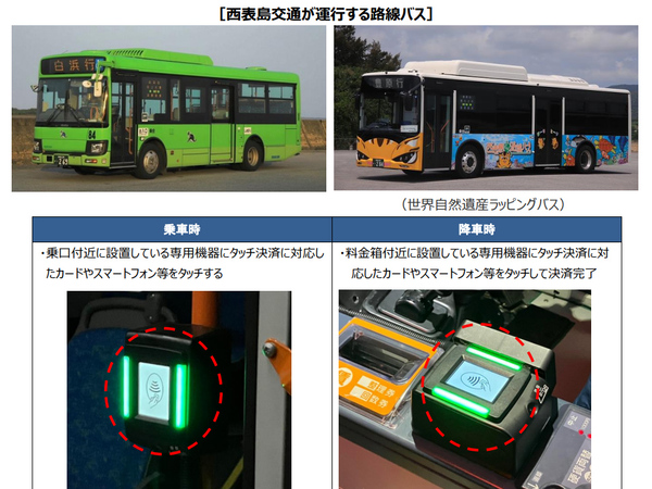 西表 バス コレクション