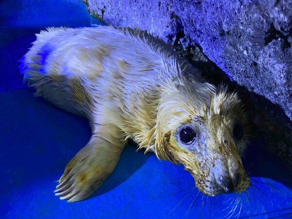 dc9202109c8f6247.jpg?2023101601