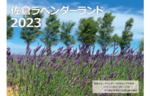 5500株のラベンダーが見頃！　「2023年 ラベンダー祭り」佐倉ラベンダーランドで7月15日まで開催【東関東自動車道 四街道ICから約10km】