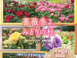 およそ200種1200株の色とりどりのバラを楽しむ　宮城県仙台市「せんだい農業園芸センター みどりの杜」にて「バラ祭り2023」6月11日まで開催中【仙台東部道路 仙台東ICから3km】