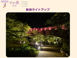 青々とした葉がライトに照らされ初夏を感じる夜の散歩　新潟県「弥彦公園」にて「新緑ライトアップ」6月18日まで開催中