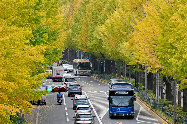 横浜市営交通カレンダー 2024