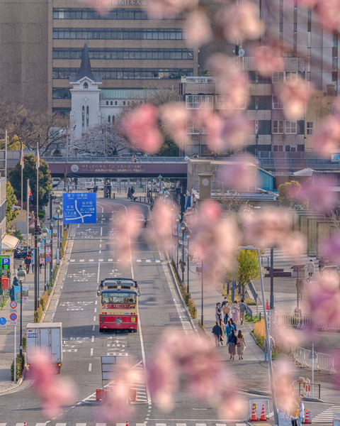 横浜市営交通カレンダー 2024