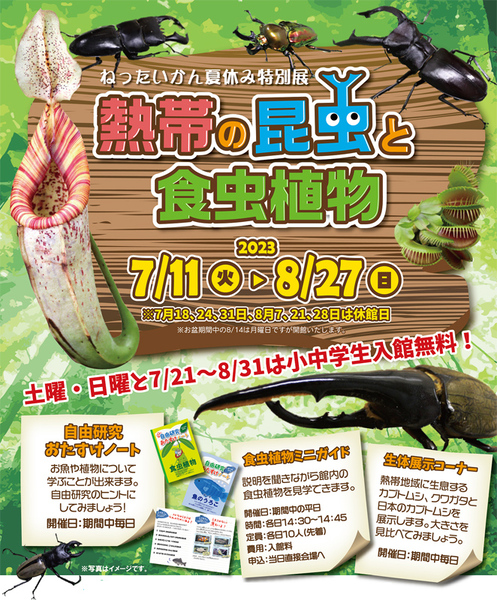 特別展「熱帯の昆虫と食虫植物」