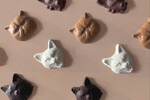 可愛い猫のボンボンショコラが登場！ Philly chocolate、ルミネ新宿ルミネ1 B2催事スペースに期間限定出店