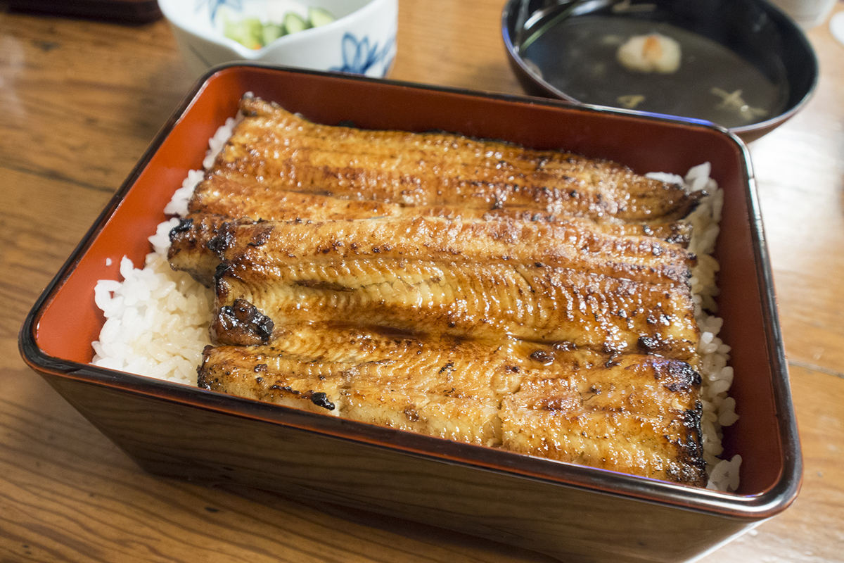 1日限定20食のうな丼など秋葉原絶品グルメを食べまくる！