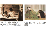 福岡市動物園、開園70周年を記念したノベルティー配布や動物たちとのお祝い記念イベントを8月22日に開催