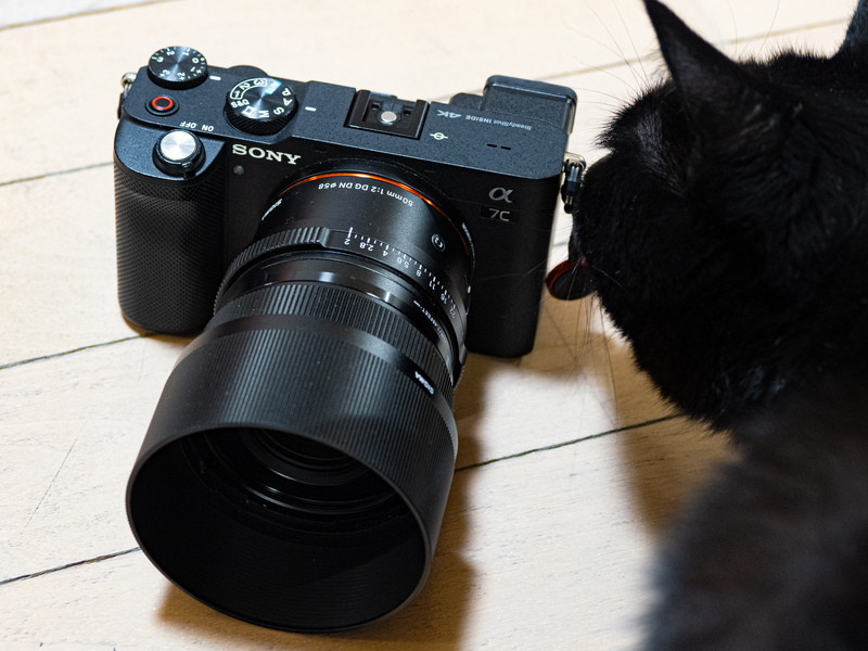 後継機種の登場が待ち遠しい、愛用のソニー「α7C」でカッコいい猫写真