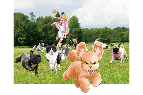 犬好きあつまれ 千葉県「流山市総合運動公園にて「流山ドッグ