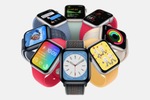 アップル「Apple Watch SE」値下げ