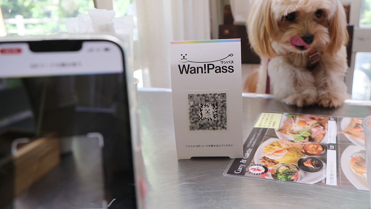 犬と散歩ワンパス