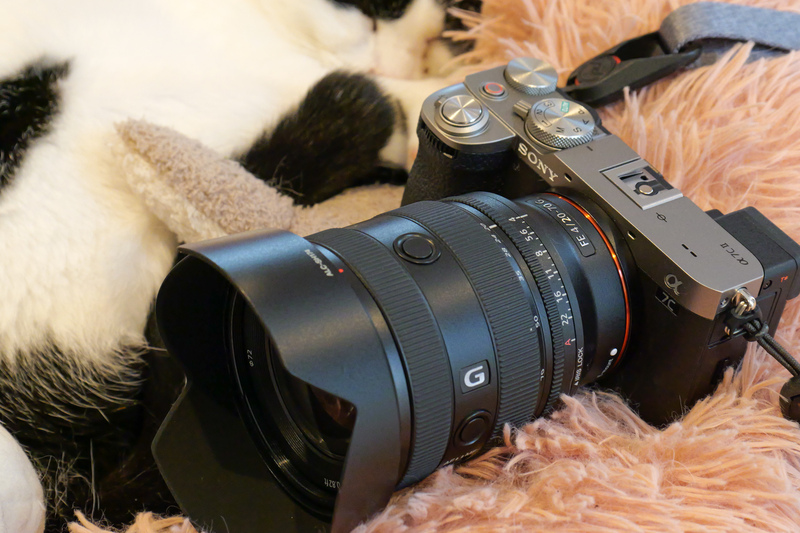 猫猫 SONY α7C ミラーレスカメラ 本体+レンズ ソニー「α7C II」は猫スナップに最適なAF・画質・コンパクトさを備えた