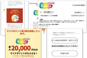 2万円に釣られてクレカ情報を盗まれるマイナポイント詐欺が怖い
