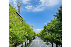 さまざまなコンテンツを楽しめる　横浜市「山下公園通り」にて初の歩行者天国を10月8日実施