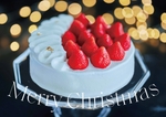 純白の見た目、だけどチョコレートケーキ⁉　メゾンカカオのクリスマスケーキに大注目！