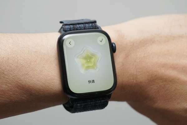 Apple Watch, watchOS 10