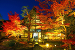 知る人ぞ知る京都の紅葉の名所をライトアップ　覚雄山鹿王院 夜間特別拝観を11月10日～12月17日に実施