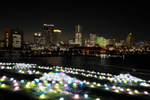 “新・光のローズガーデン”が登場！ 「横浜港フォトジェニックイルミネーション2023」11月1日から