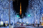 六本木・けやき坂をイルミネーションが彩る東京の冬の風物詩 「Roppongi Hills Christmas 2023」11月6日～12月25日開催