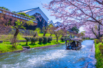 日本酒と名水を体験　日本有数の酒蔵が集まる京都・伏見で