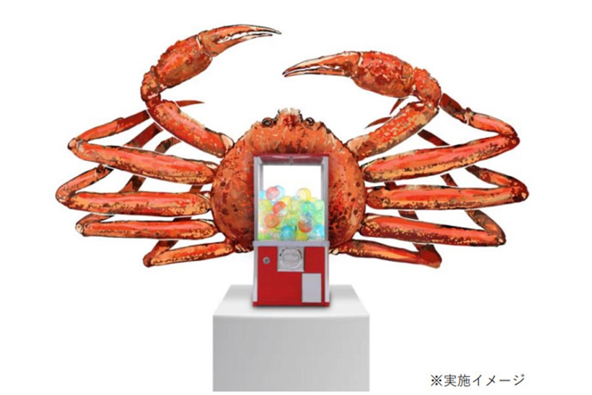 ASCII.jp：蟹が当たる「年末蟹ジャンボ」500円で挑戦、1等は松葉がに