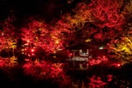 歴史ある日本庭園「八芳園」を真っ赤にライトアップ