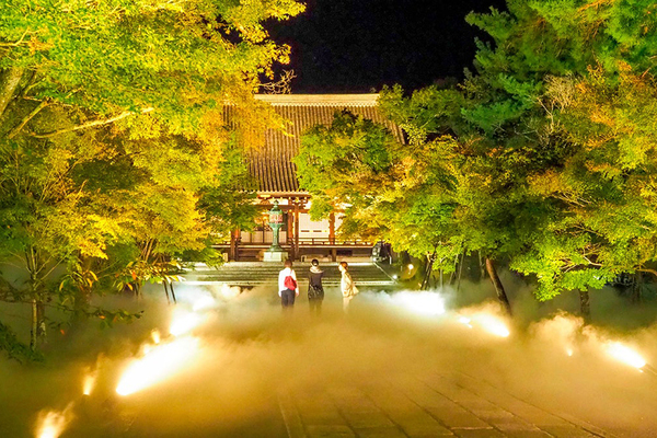 京都・仁和寺にて雲海さながらのライトアップ開催中